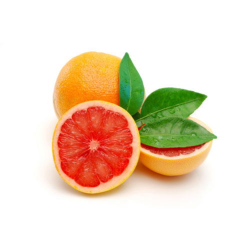 Grapefruit - Grapefruit Large Organic