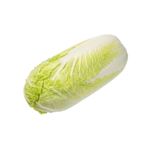 Cabbage & Bok Choy - Asian Sui Choy Organic