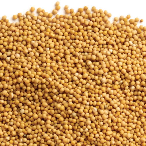 Loose Spice - Mustard Seeds Whole, Bulk