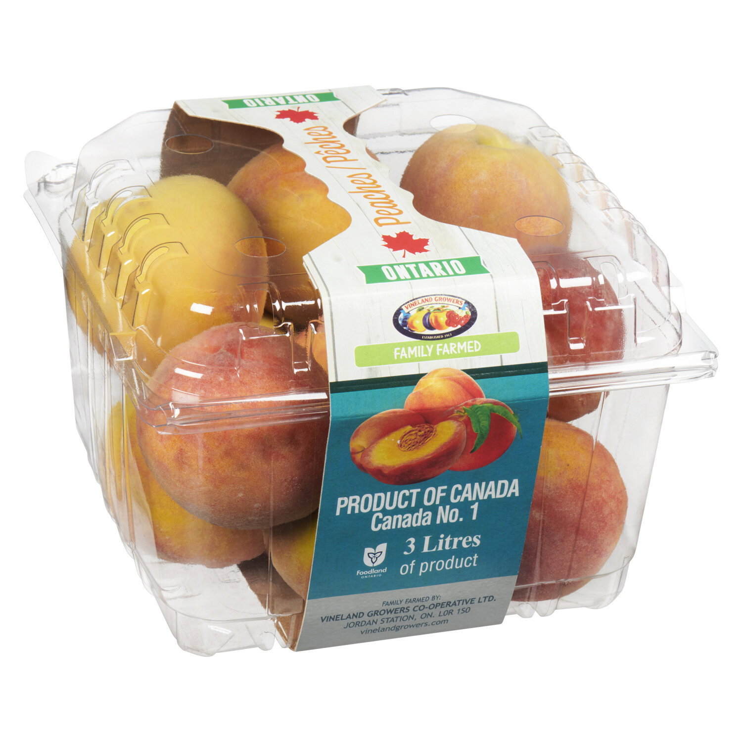 Peaches - Clamshell - Save-On-Foods