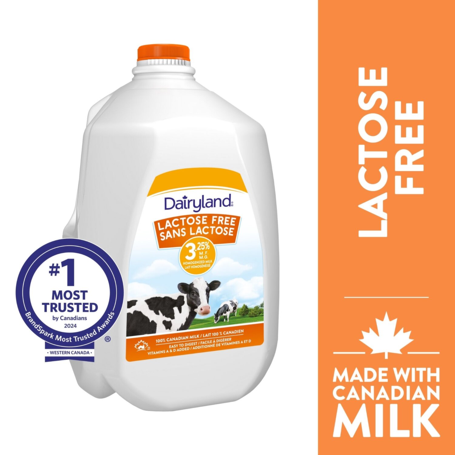 Dairyland - Lactose Free 3.25% Milk - Save-On-Foods