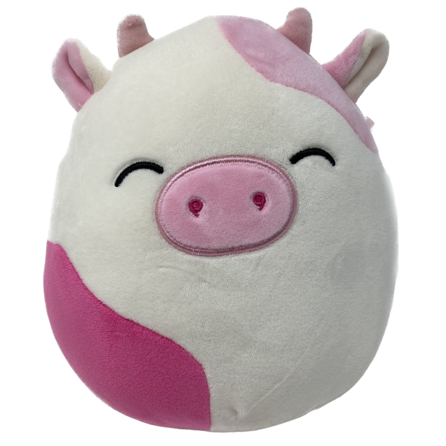 Caedyn outlet squishmallow 16