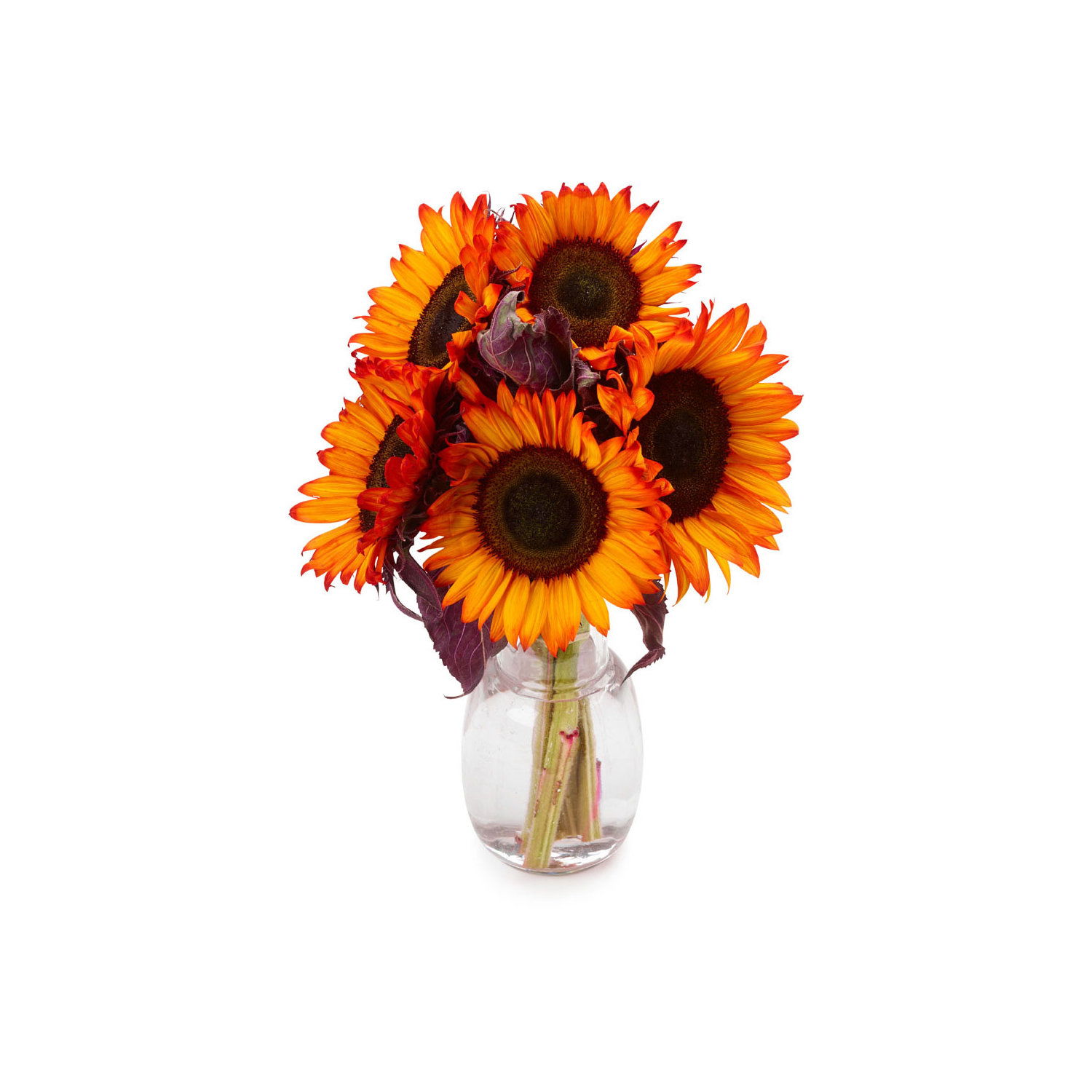 Sunflower ページ Sunflower 70004 – jmbricklayer