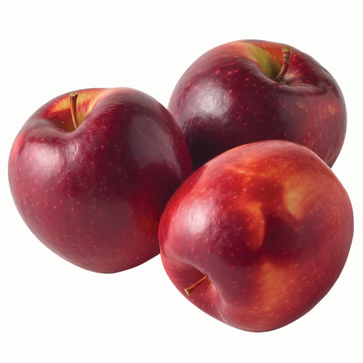 two steves ＆Apple Idea: Two Steves & Apple (Multi) | DSMNY E-SHOP