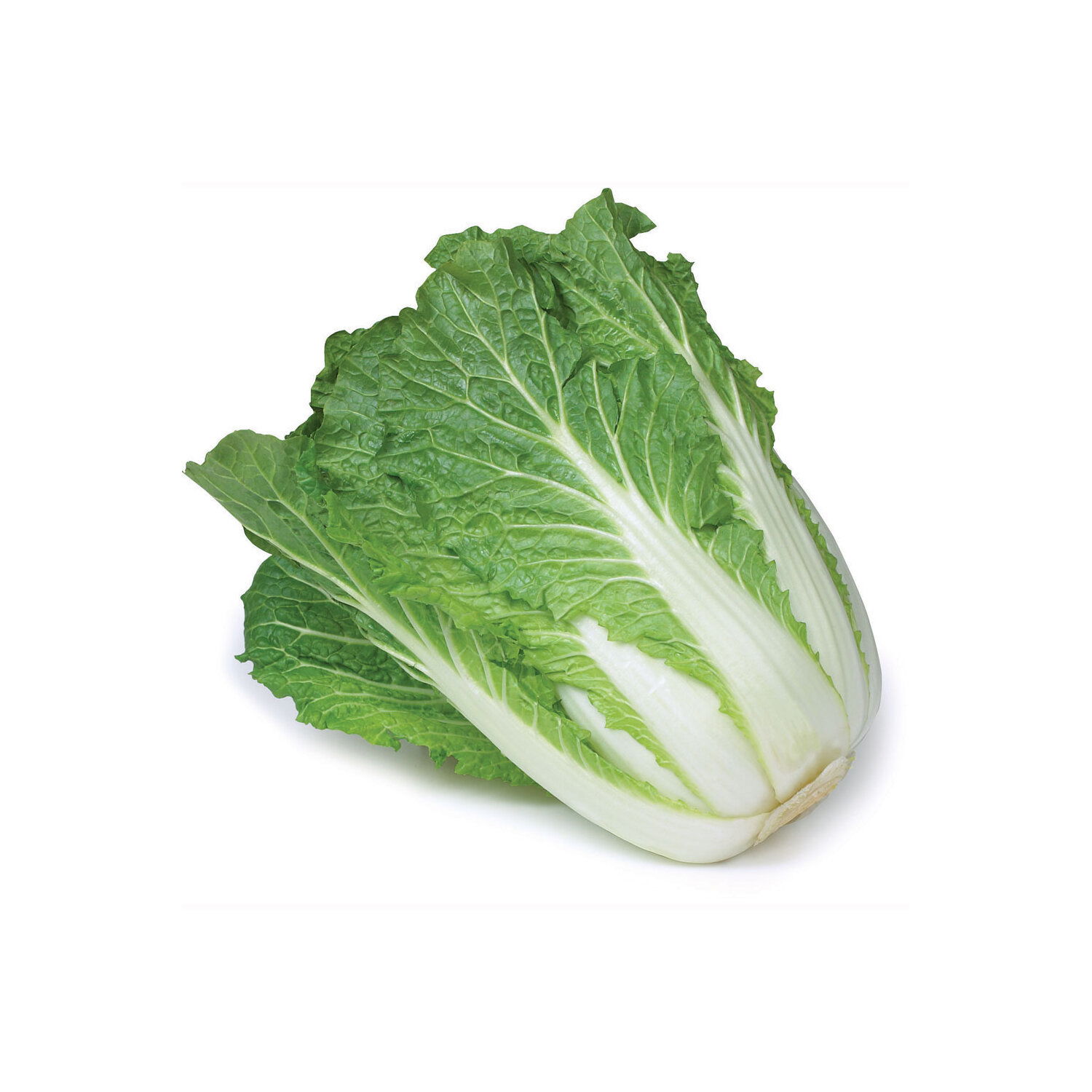 Cabbage - Sui Choy, Fresh - Save-On-Foods